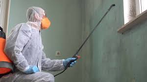 Best Forensic Mold Investigation  in Brookings, OR